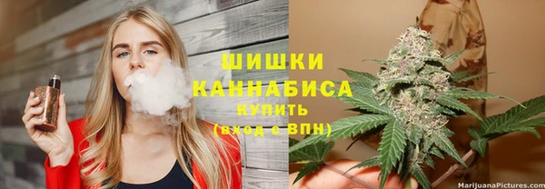 шишки Заводоуковск
