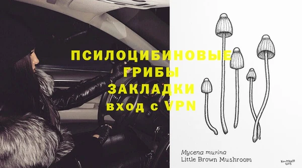 стаф Зеленодольск