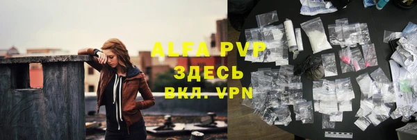шишки Заводоуковск