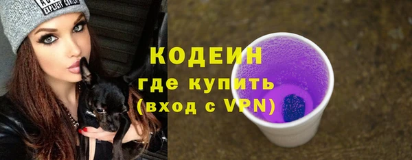 шишки Заводоуковск