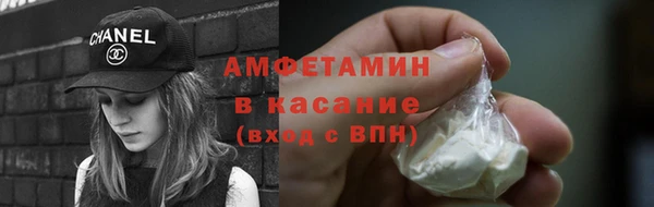 шишки Заводоуковск