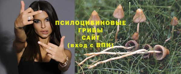 герыч Мегион