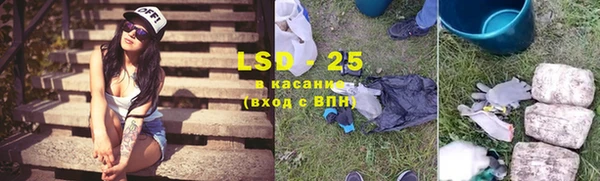 ГАЛЛЮЦИНОГЕННЫЕ ГРИБЫ Краснотурьинск
