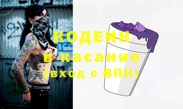 шишки Заводоуковск