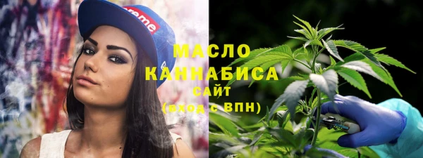 шишки Заводоуковск