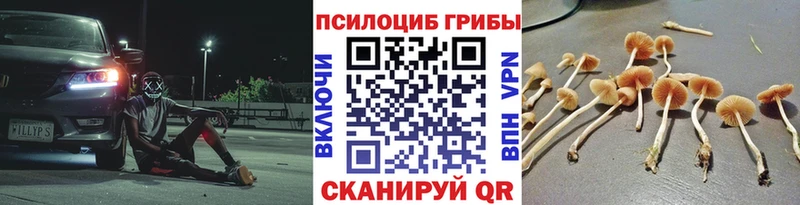 МЕГА онион  Заволжье  Галлюциногенные грибы Cubensis  где купить наркотик 