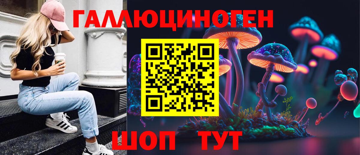 Псилоцибиновые грибы Psilocybe  как найти закладки  Заволжье  Вход с VPN 