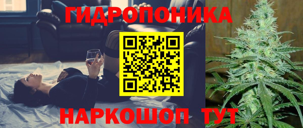 Заволжье  Марихуана ГИДРОПОН  МАРИХУАНА OG Kush  Вход с VPN 
